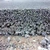 无机透水混凝土供应-青岛筑建海绵