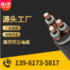 高标包检3芯铜电缆/中缆神州