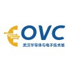 2025 武汉国际半导体产业与电子技术博览会（OVC）