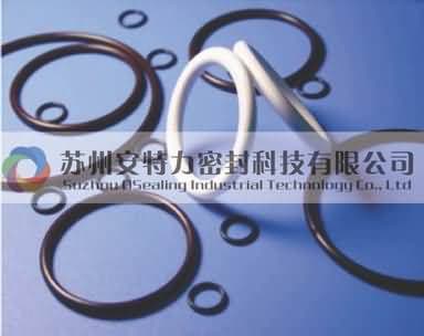VITDN氟胶密封圈