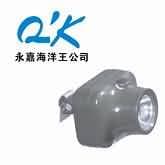 固态强光防爆头灯 