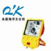 防爆泛光灯 QK-BFC8110