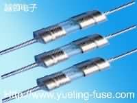 3.6X10玻璃管双帽保险丝