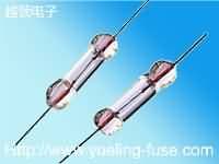 3X10全玻璃封装保险丝